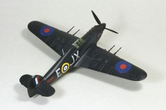 2025_0216_Bear_GN_21_Kutt__083up