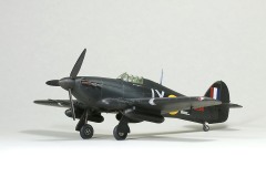 2025_0216_Bear_GN_21_Kutt__133up