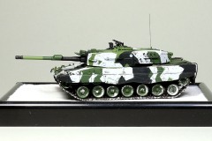 2022_0410_mod_Cor_leopard_072_bl