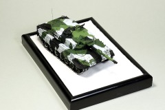 2022_0410_mod_Cor_leopard_092_bl
