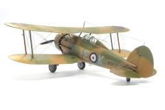 gladiator-norway-263sqn